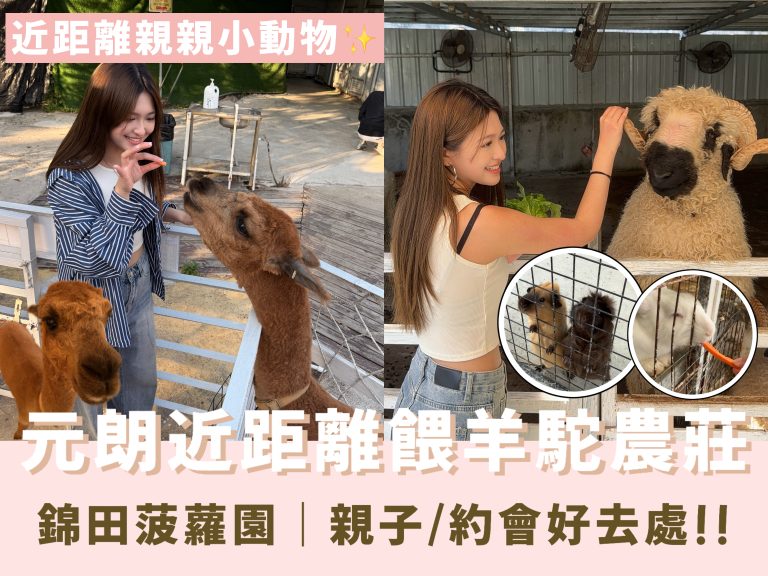 元朗錦田菠蘿園有機薈低碳農莊餵羊駝體驗