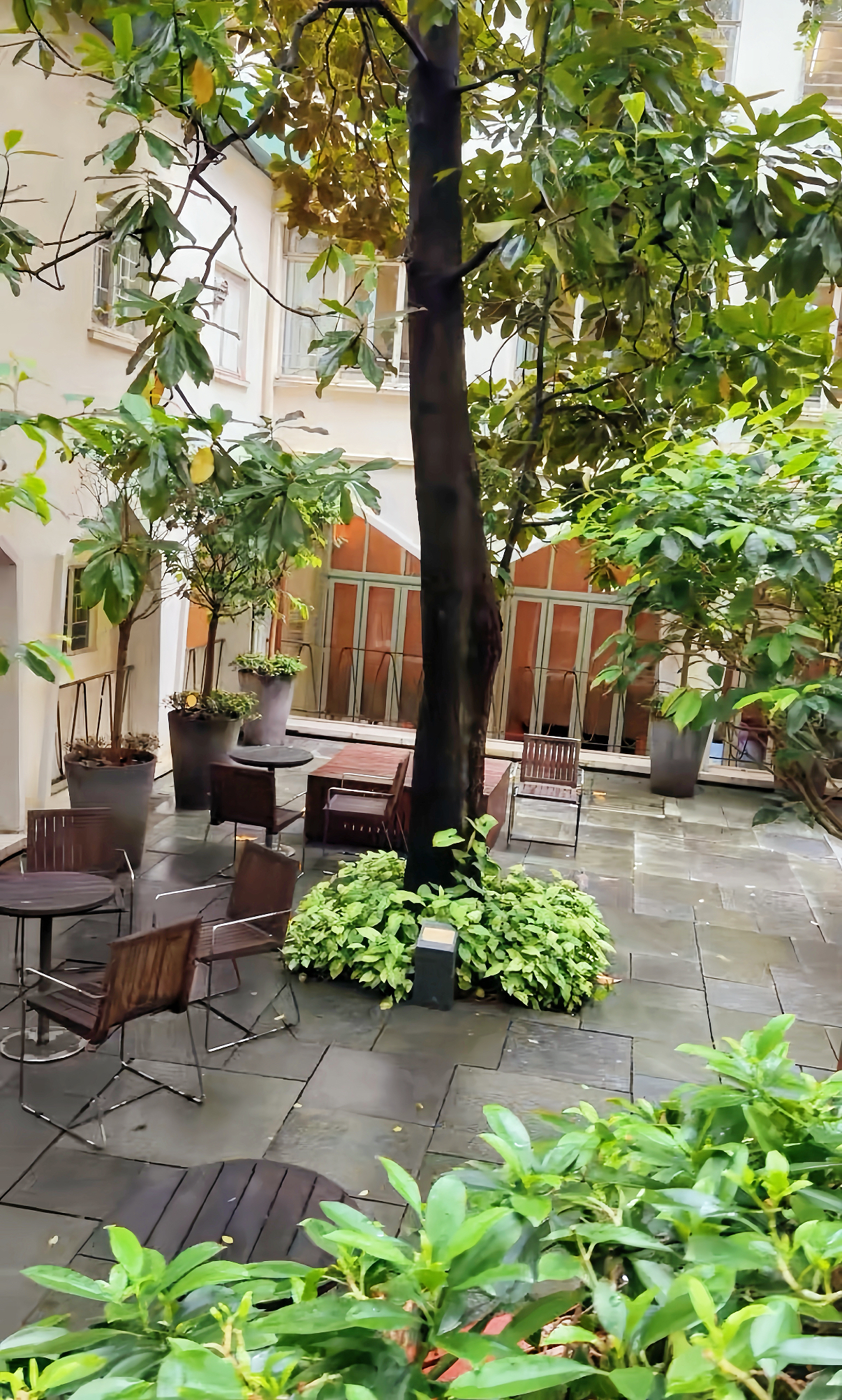 The Nest Coffee戶外花園座位雨天環境