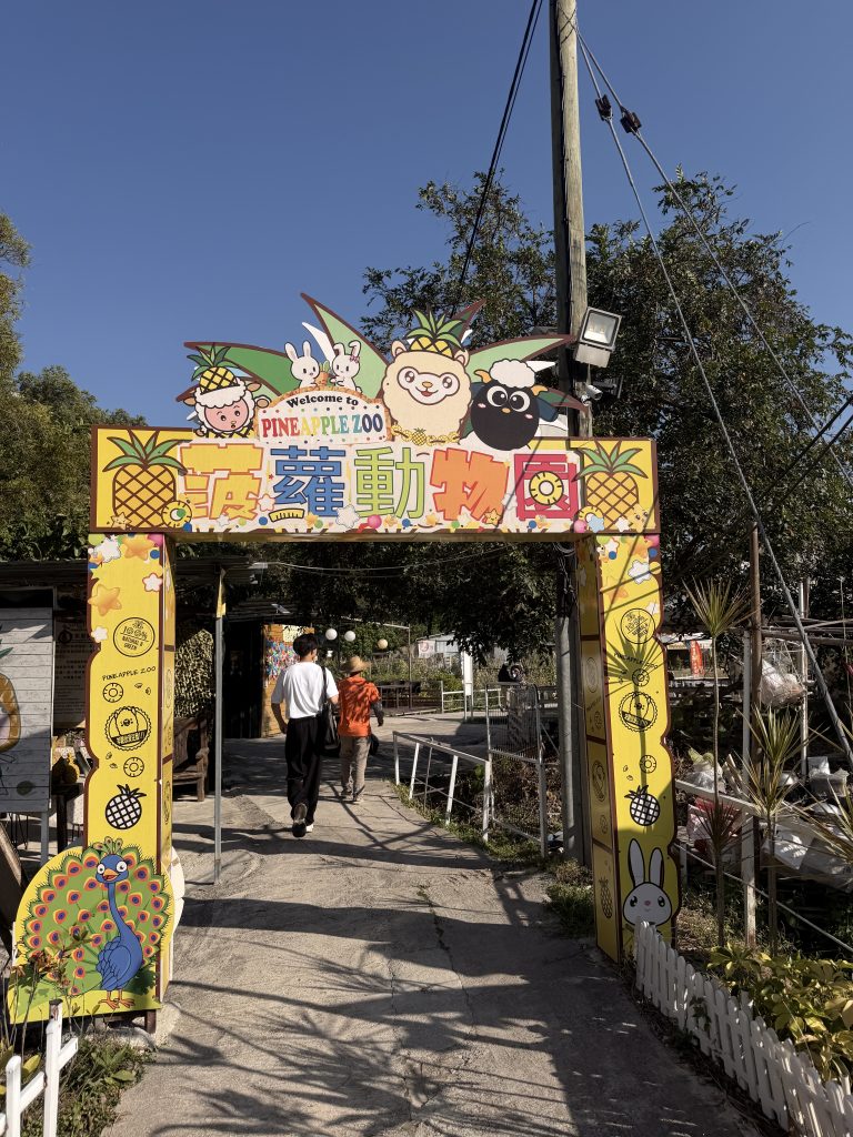 元朗錦田菠蘿園戶外農莊環境